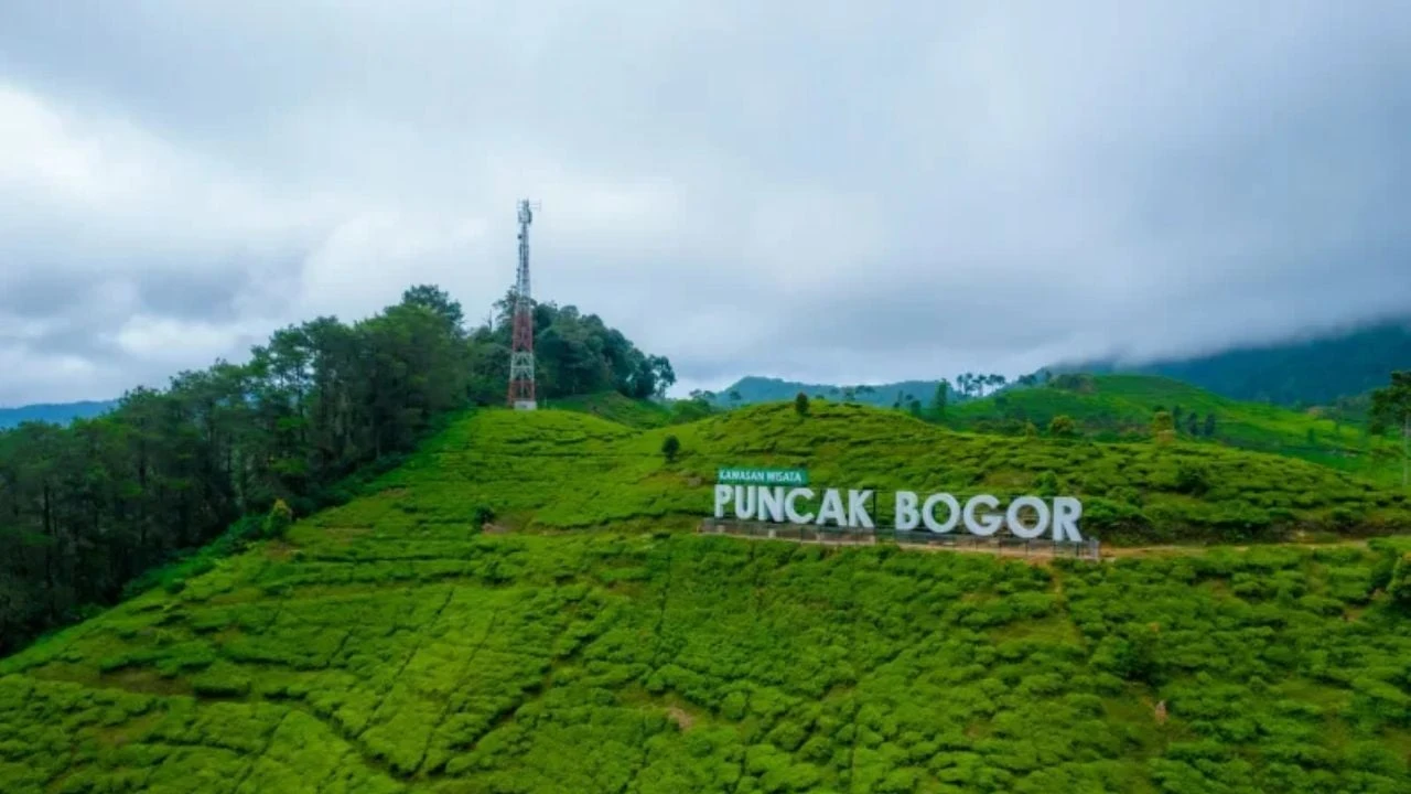 wisata puncak pass bogor